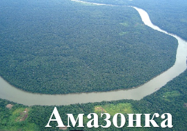 Амазонка