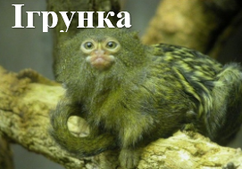 Ігрунка