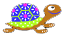 tirtle